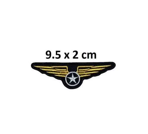 Army military wing - pilot, air