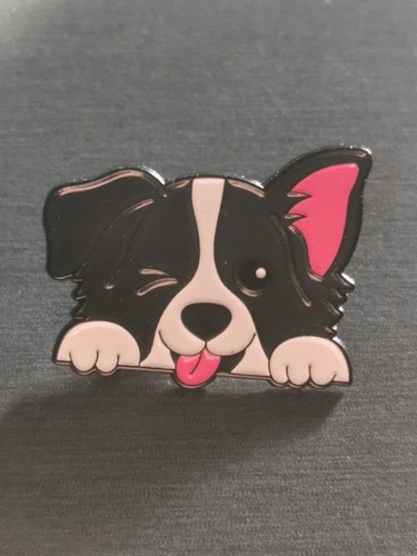 Hund funny chien - hund,